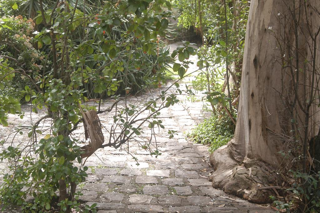 Hotel Acacias De Vitacura Santiago Eksteriør bilde